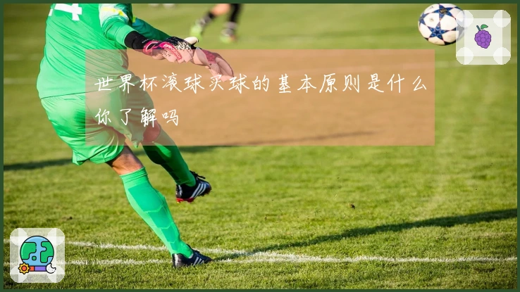 世界杯滚球买球的基本原则是什么你了解吗