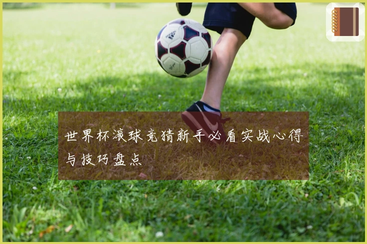 世界杯滚球竞猜新手必看实战心得与技巧盘点