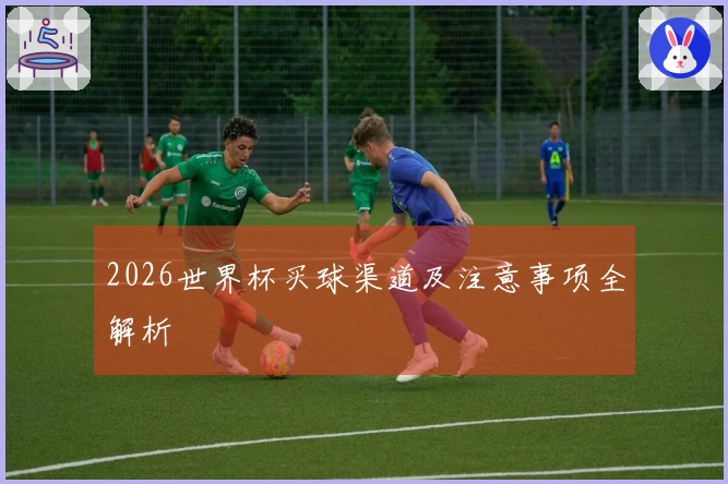 2026世界杯买球渠道及注意事项全解析