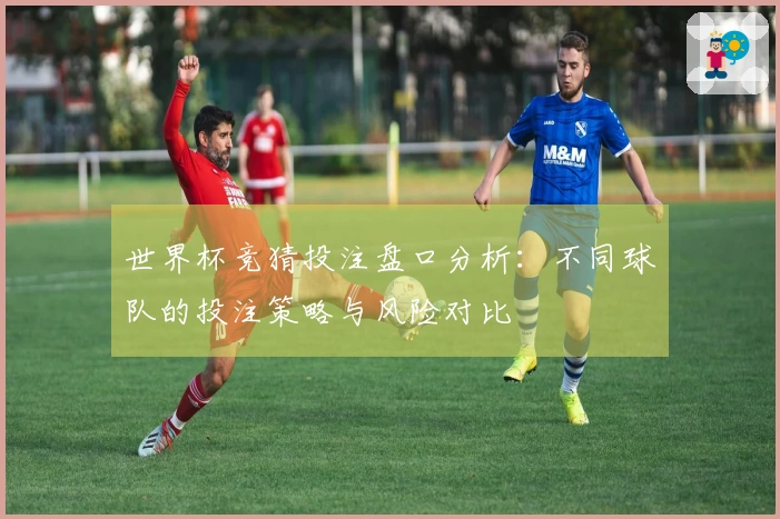 世界杯竞猜投注盘口分析：不同球队的投注策略与风险对比