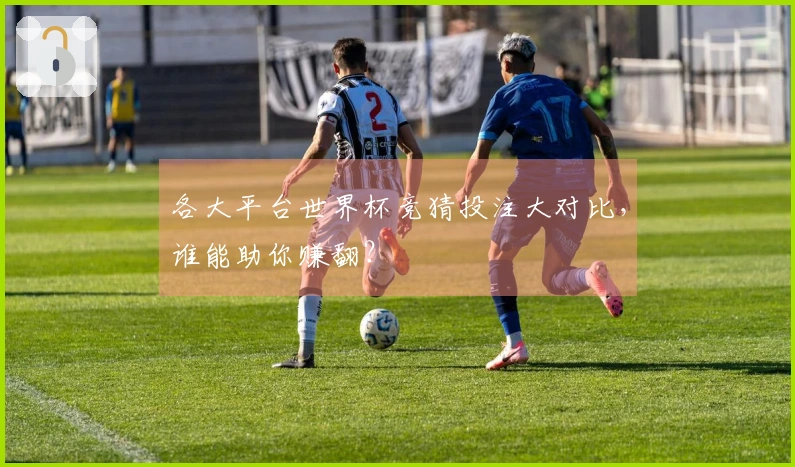 各大平台世界杯竞猜投注大对比，谁能助你赚翻？
