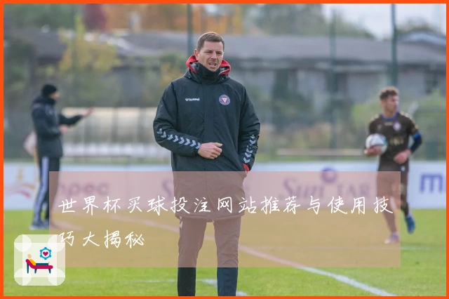 世界杯买球投注网站推荐与使用技巧大揭秘