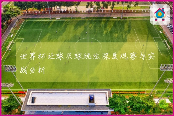 世界杯让球买球玩法深度观察与实战分析
