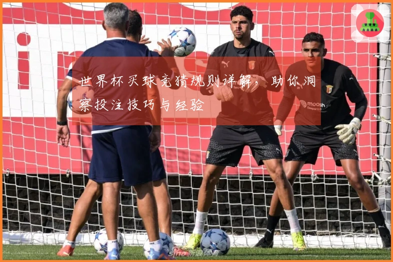 世界杯买球竞猜规则详解，助你洞察投注技巧与经验