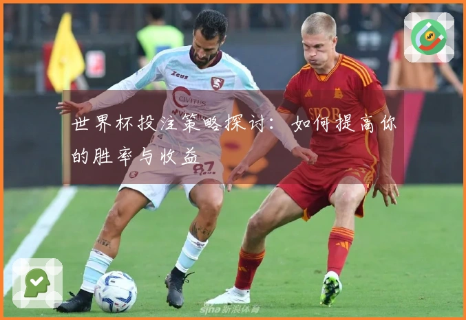 世界杯投注策略探讨：如何提高你的胜率与收益