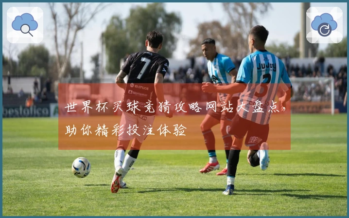 世界杯买球竞猜攻略网站大盘点，助你精彩投注体验