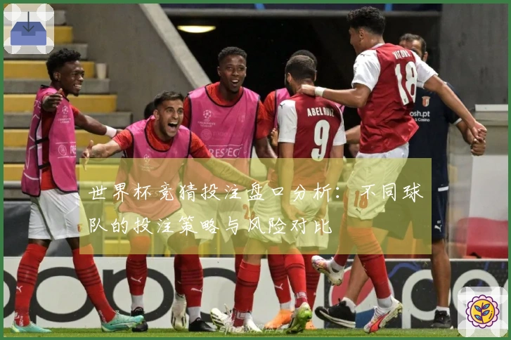 世界杯竞猜投注盘口分析：不同球队的投注策略与风险对比