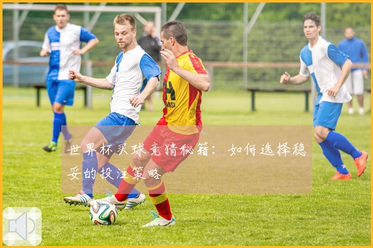 世界杯买球竞猜秘籍：如何选择稳妥的投注策略